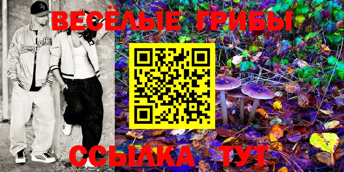 Галлюциногенные грибы Psilocybe Дзержинский